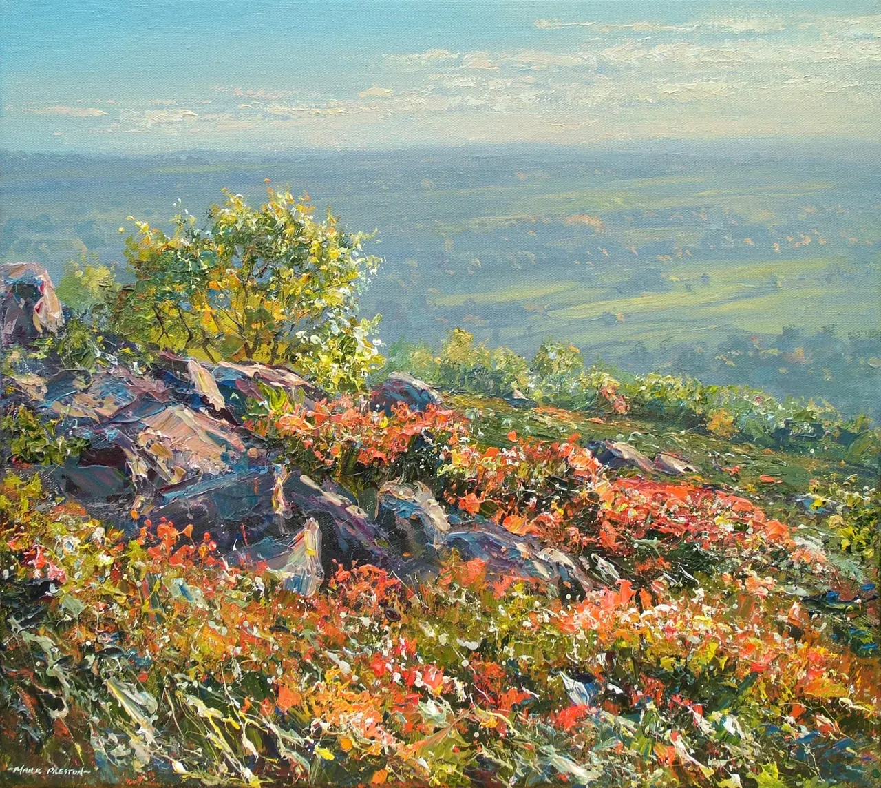 Mark Preston - sunlit oak and bilberry, baslow edge